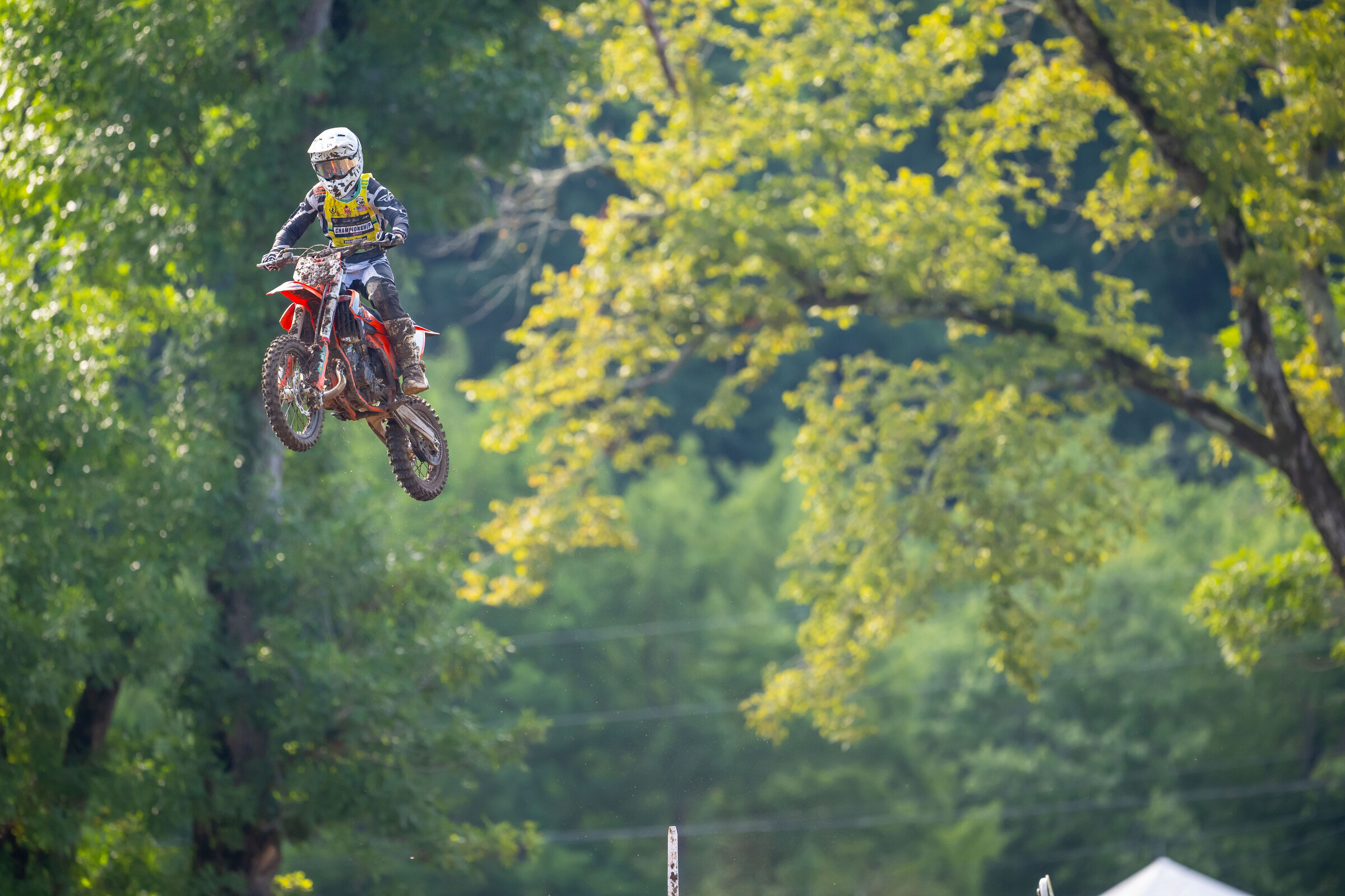 2024_LLMX_ALIGN_MEDIA_TUESDAY__677