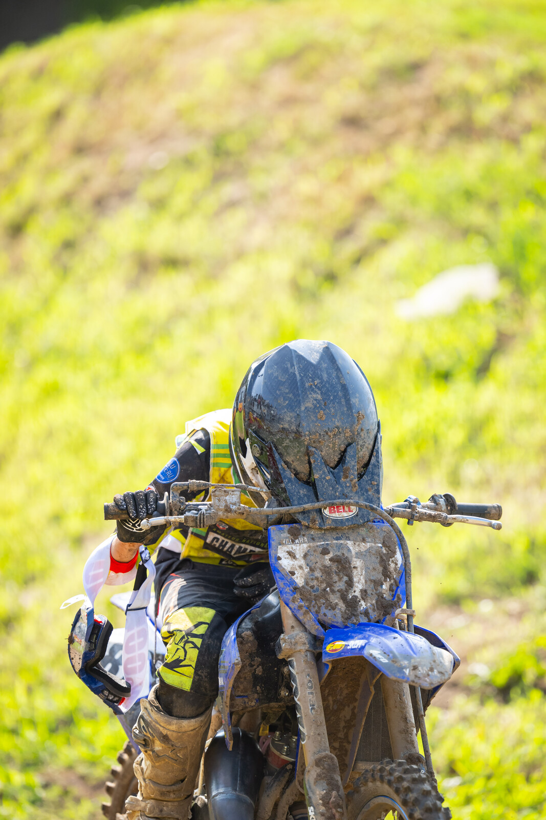 2024_LLMX_ALIGN_MEDIA_TUESDAY__1105