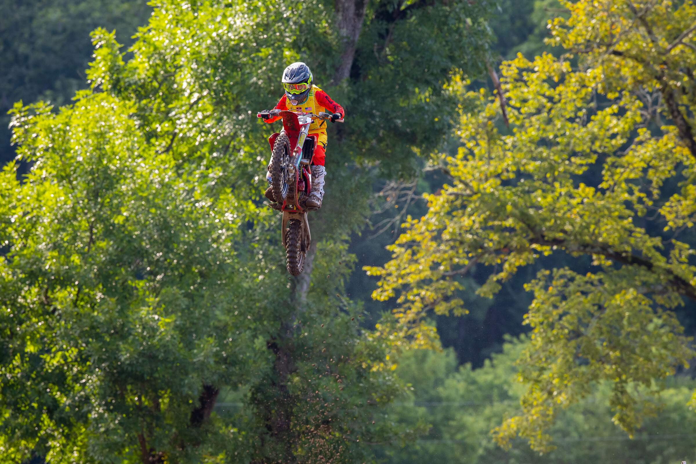 2024_LLMX_ALIGN_MEDIA_TUESDAY__24054