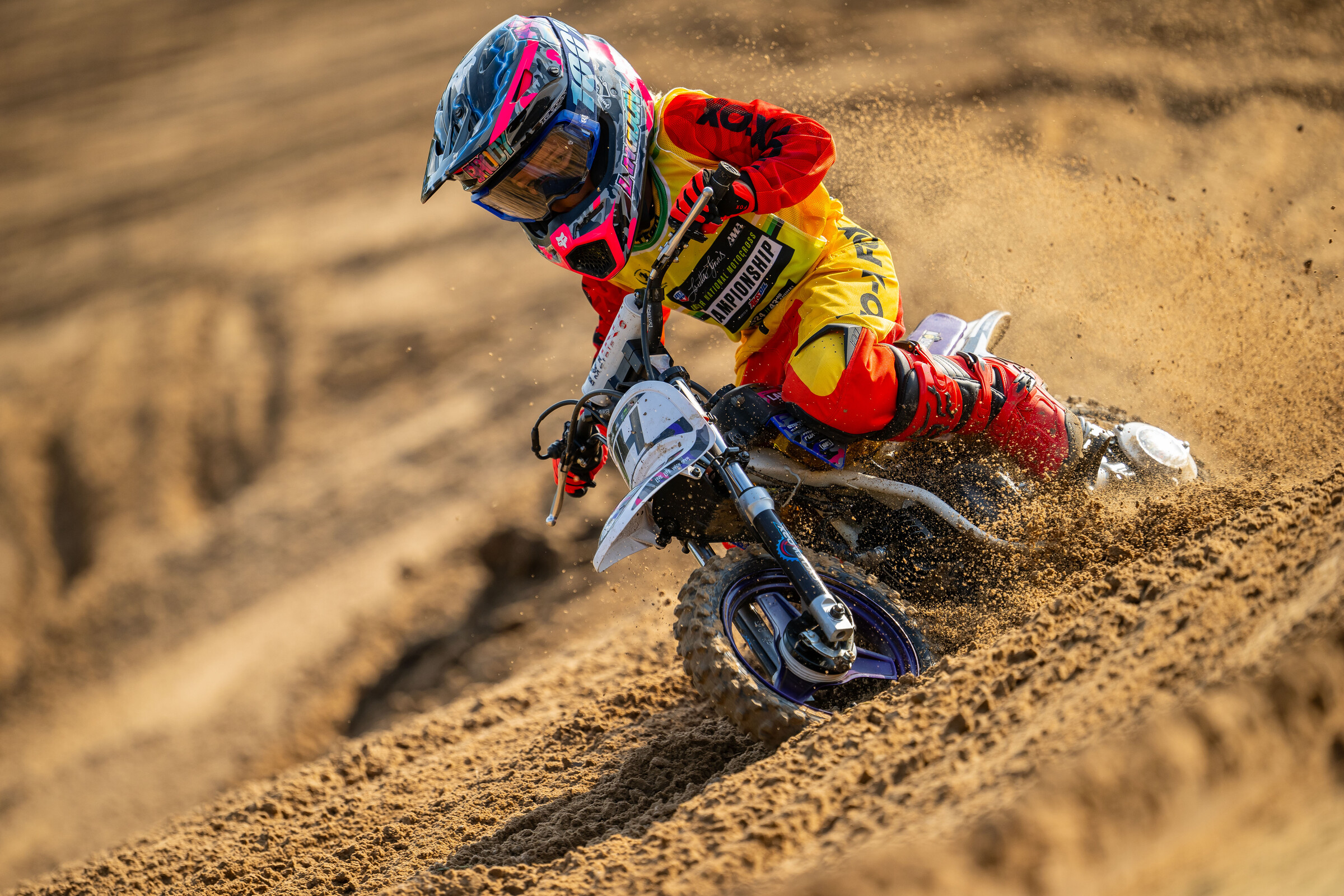 2024_LLMX_ALIGN_MEDIA_TUESDAY__8086