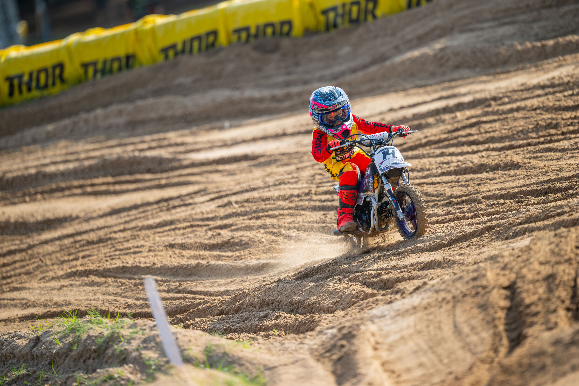 2024_LLMX_ALIGN_MEDIA_TUESDAY__8059