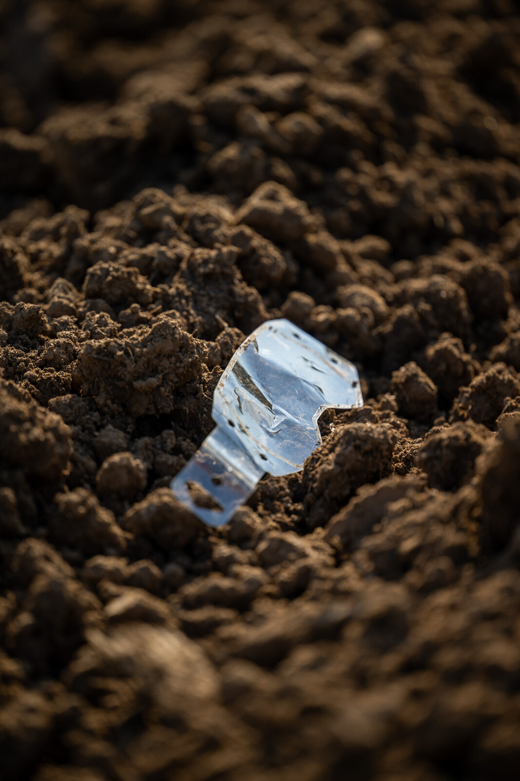 2024_LLMX_ALIGN_MEDIA_TUESDAY__7665