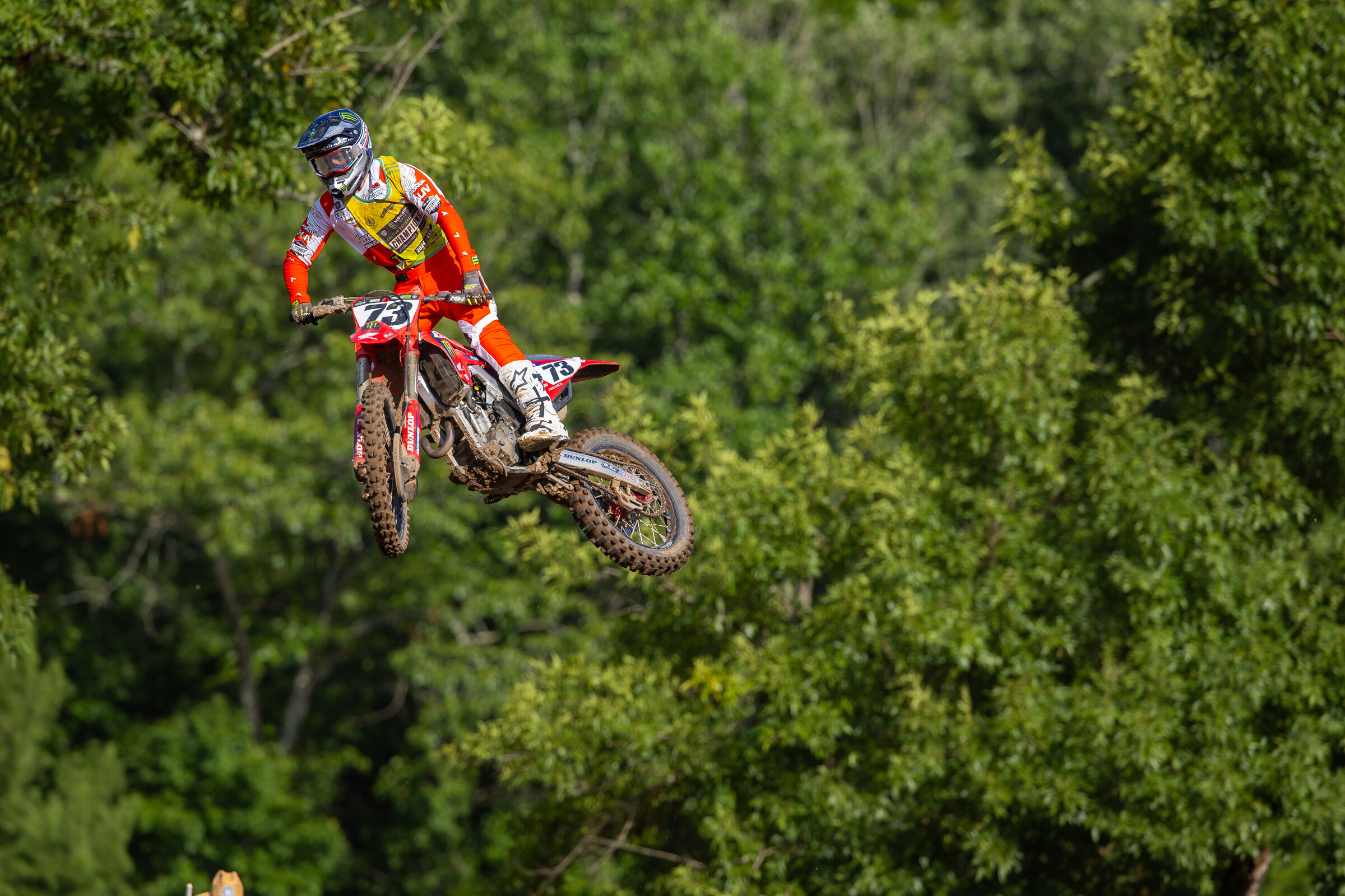 2024_LLMX_ALIGN_MEDIA_WEDNESDAY__59633