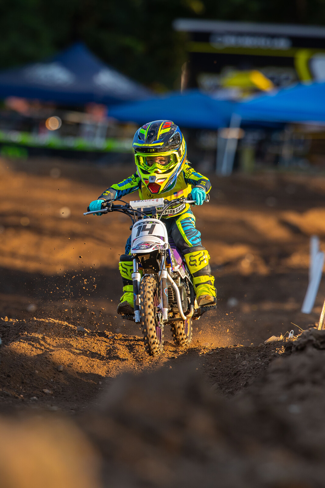 2024_LLMX_ALIGN_MEDIA_FRIDAY__122494