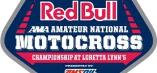 Important Information About Website