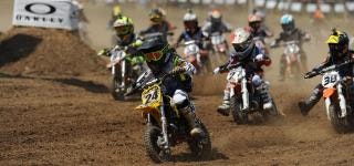 Competition Bulletin 2014-1